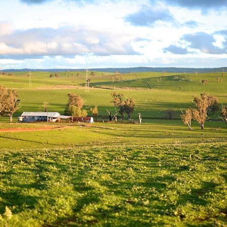 Wantana Cottage Farmstay Boorowa Extérieur photo
