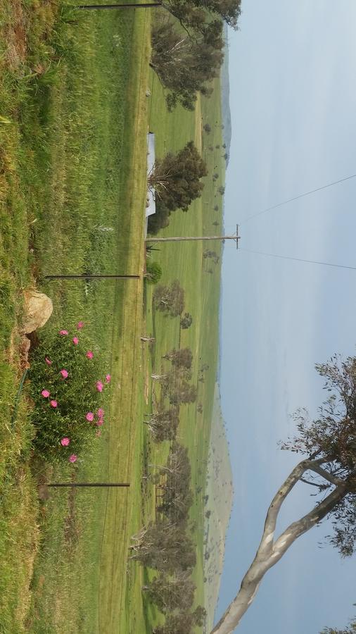 Wantana Cottage Farmstay Boorowa Extérieur photo