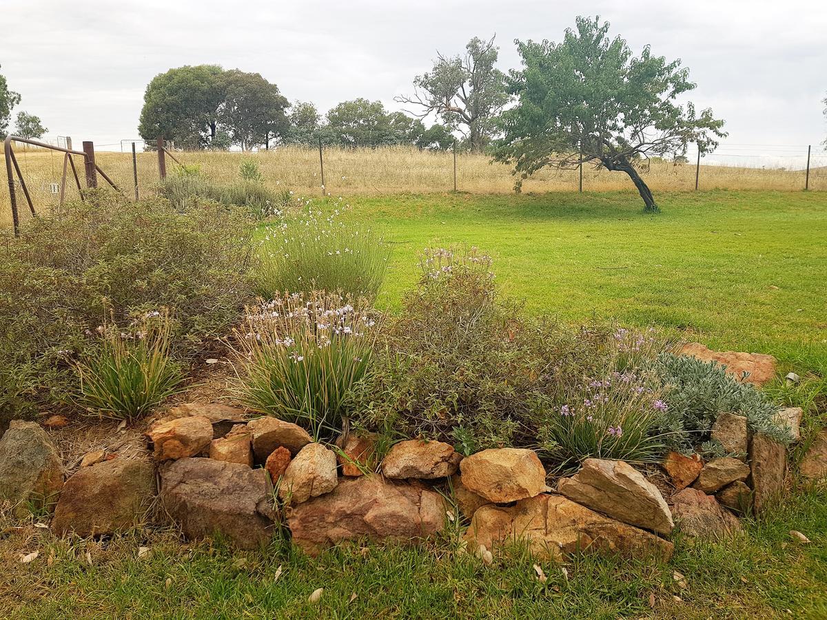 Wantana Cottage Farmstay Boorowa Extérieur photo