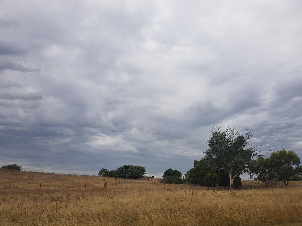 Wantana Cottage Farmstay Boorowa Extérieur photo
