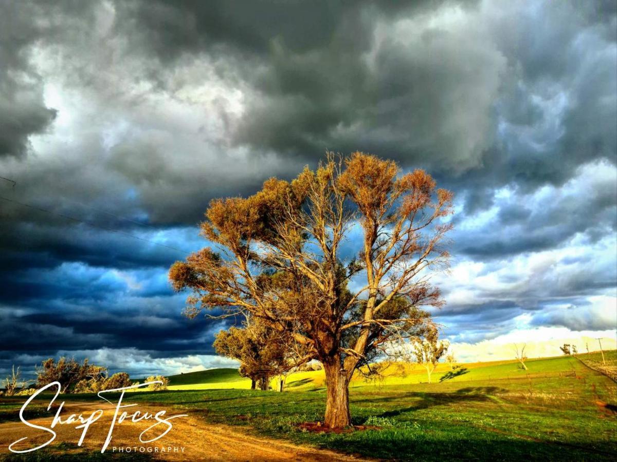 Wantana Cottage Farmstay Boorowa Extérieur photo