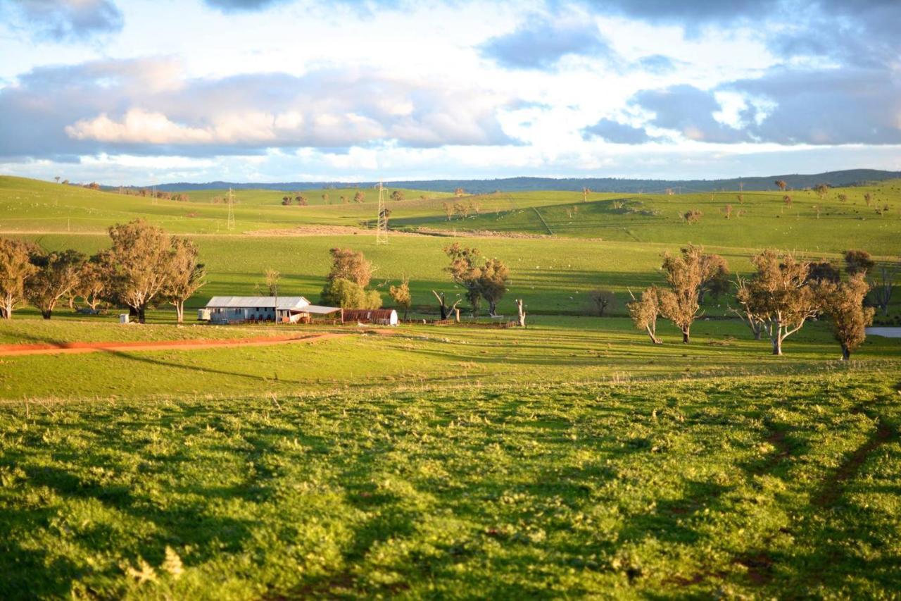 Wantana Cottage Farmstay Boorowa Extérieur photo